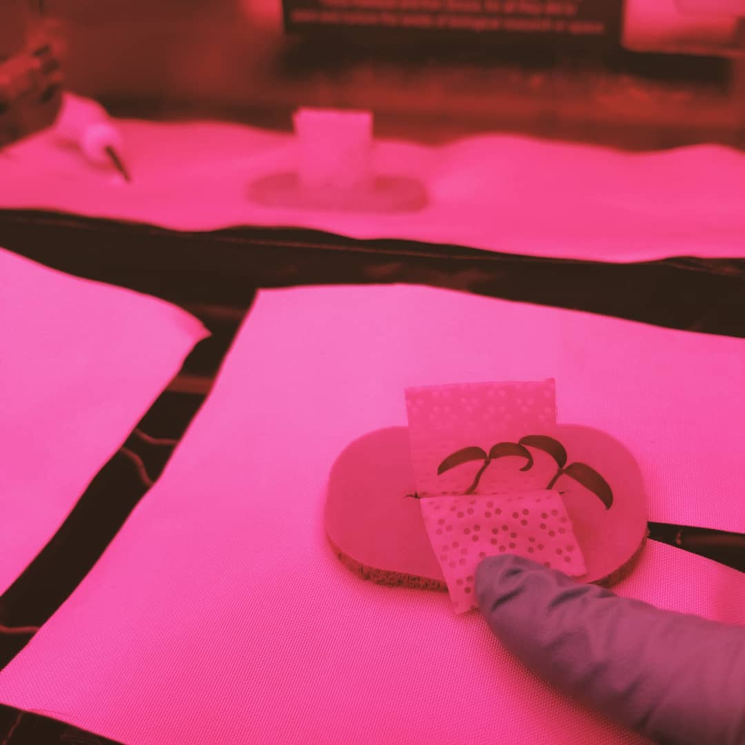 MNFruitLady's tweet photo. My friend @jess_bunchek is working at NASA to figure out how to grow fresh vegetables in space. Specifically, cherry tomatoes in microgravity under red light. She's cooler than me. #veggiesinspace #womeninSTEM https://t.co/0GvCrxrHIu