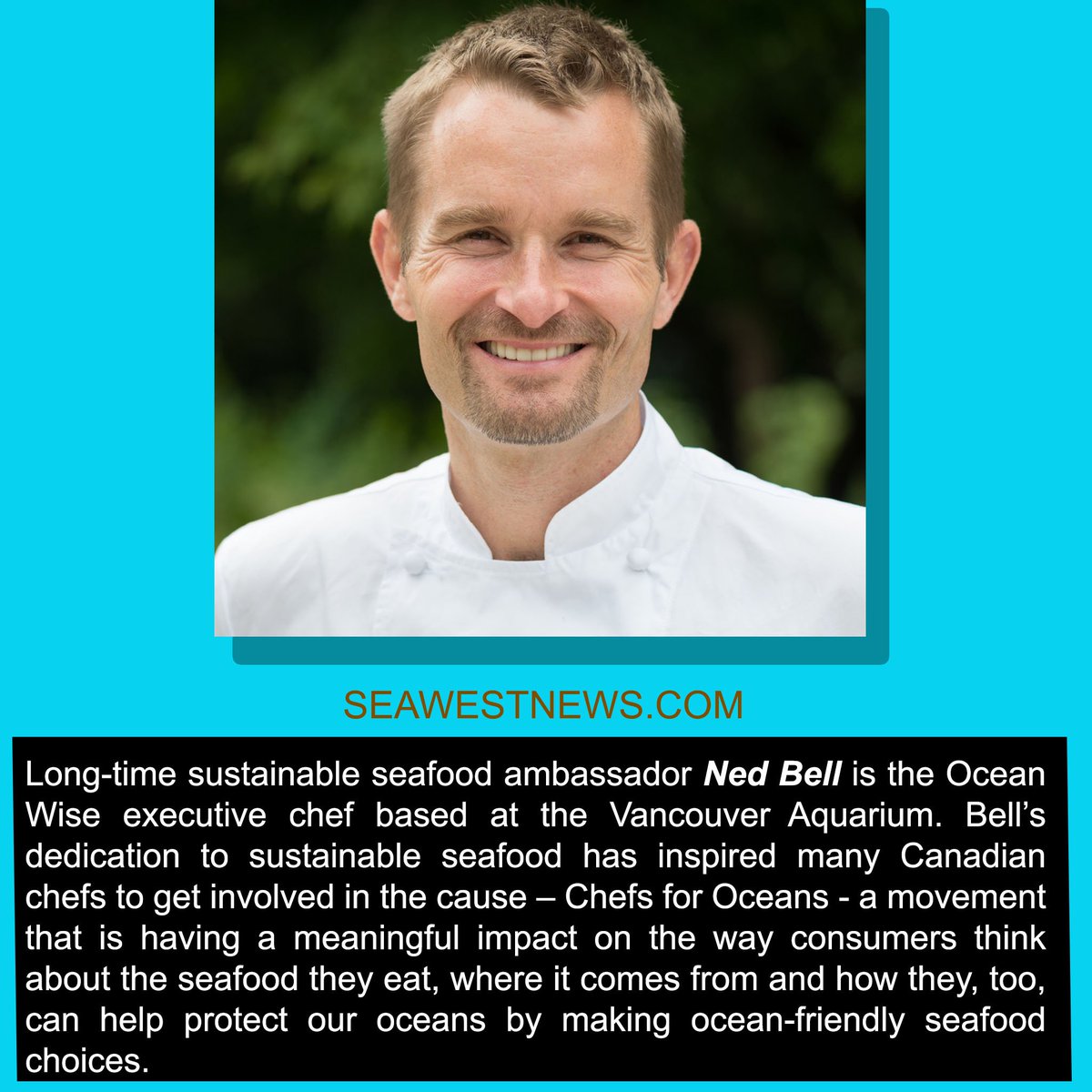 SeaWestNews's tweet photo. Meet Mr. Ned Bell.  He is Long-time sustainable seafood ambassador &amp; Ocean Wise executive chef based at the Vancouver Aquarium. Read more about him on our website https://t.co/lCx8B4Ii5t #seawestnews #BCchef #seafood #Aquaculture https://t.co/5AqXZzdvNW