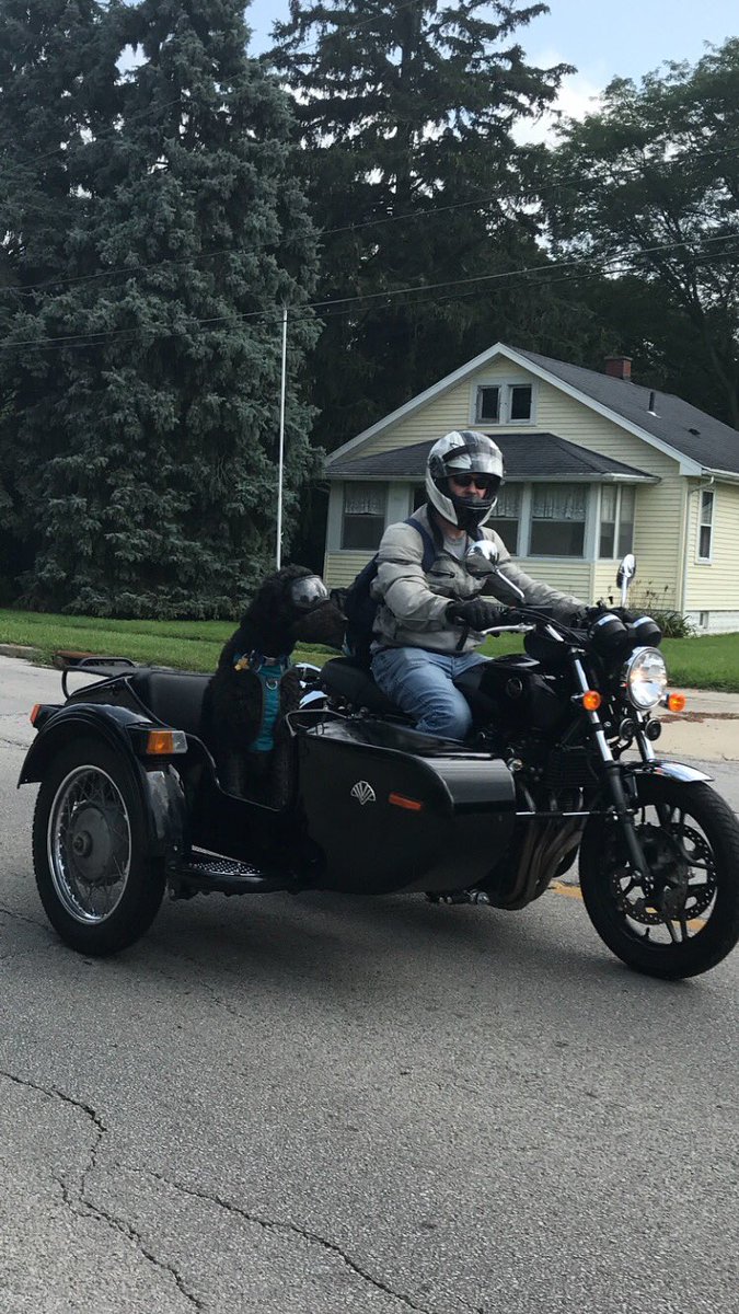 RiderRudithe tweet picture