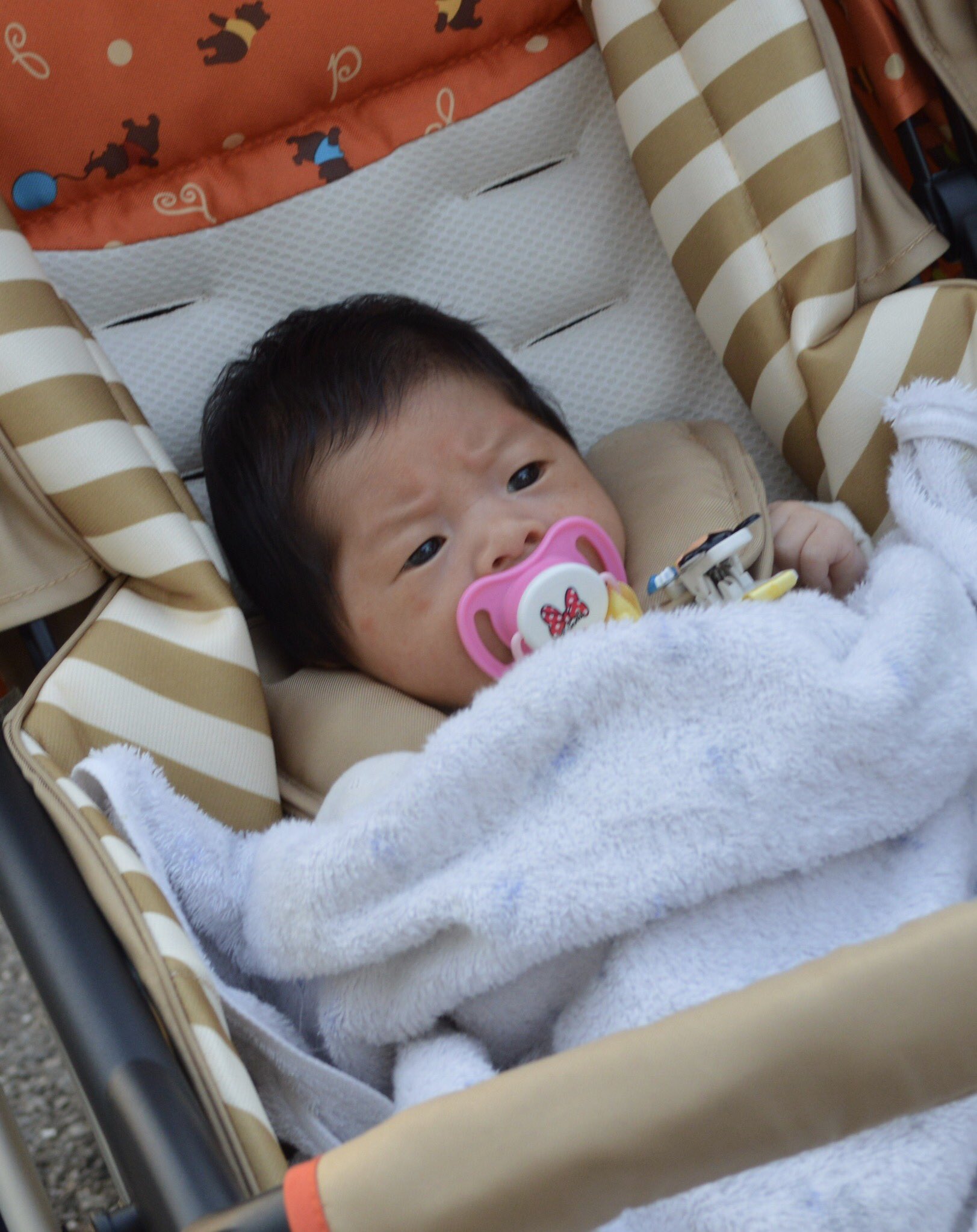 和葉 被写体 そうなんです 生まれつき眉間にシワ子ちゃんでした 赤ちゃんの時の写真を見ても眉間のシワが 和葉 被写体 そうなんです 生まれつき眉間にシワ子ちゃんでした 赤ちゃんの時の写真を見ても眉間のシワが