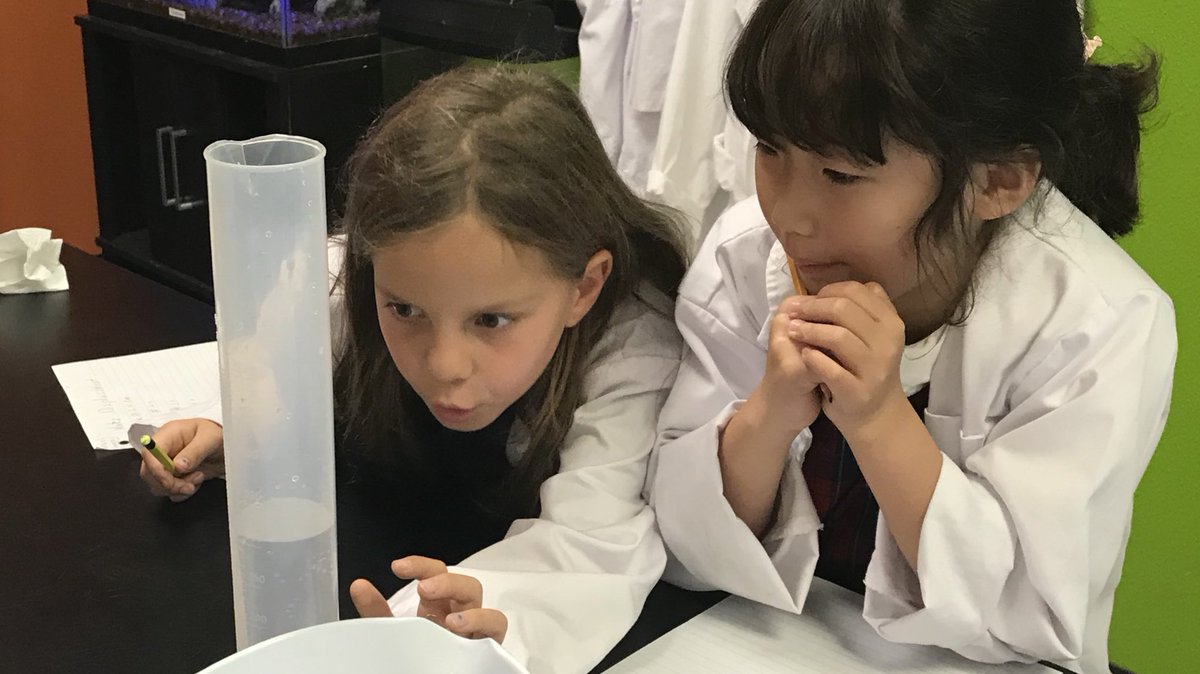 LCCSEagles's tweet photo. Third graders use water displacement to determine volume.  #lccseagles #sciencelab https://t.co/Pnart9SAkQ