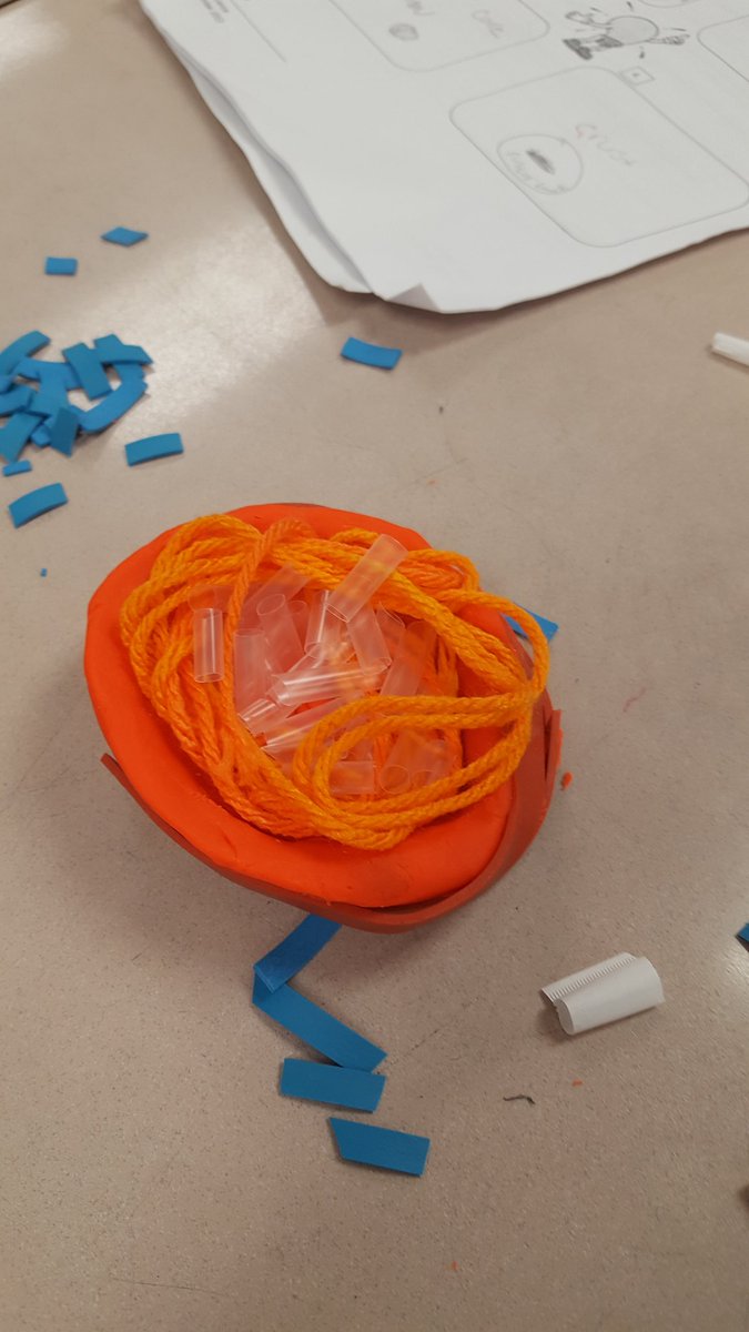 JessicaBurdick7's tweet photo. We ❤ Science part 2! @MustangRaines9 @MeadowlandElem https://t.co/BeecGIvmDy