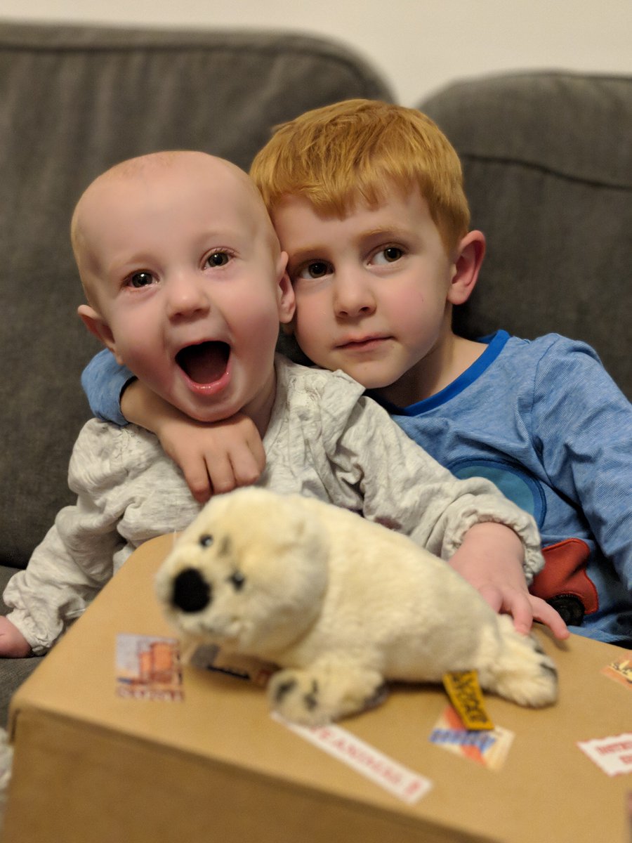 We're sin-seal-y grateful that <a href="/KentWildlife/">Kent Wildlife Trust</a>'s Sammy Seal chose to stay with us for the first night of his exciting #adventure. #Sammyshols #LoveWildlife