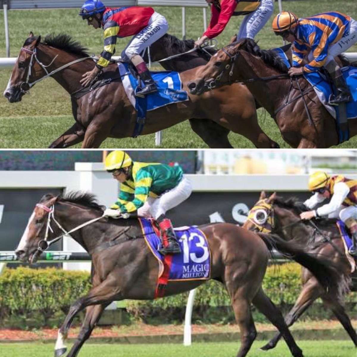brillianceracin's tweet photo. Trainer Matthew Dunn Racing says Koszciuszko favourite #CareToThink can’t be faulted after last Sunday’s Ballina 6L trial victory. Kosciuszko runner’s Care to Think and #Snitz will head to Matthew Dunn Racing‘s Sydney stable Wednesday next week from Matt’s Murwillumbah base. https://t.co/9gFjarJjgZ