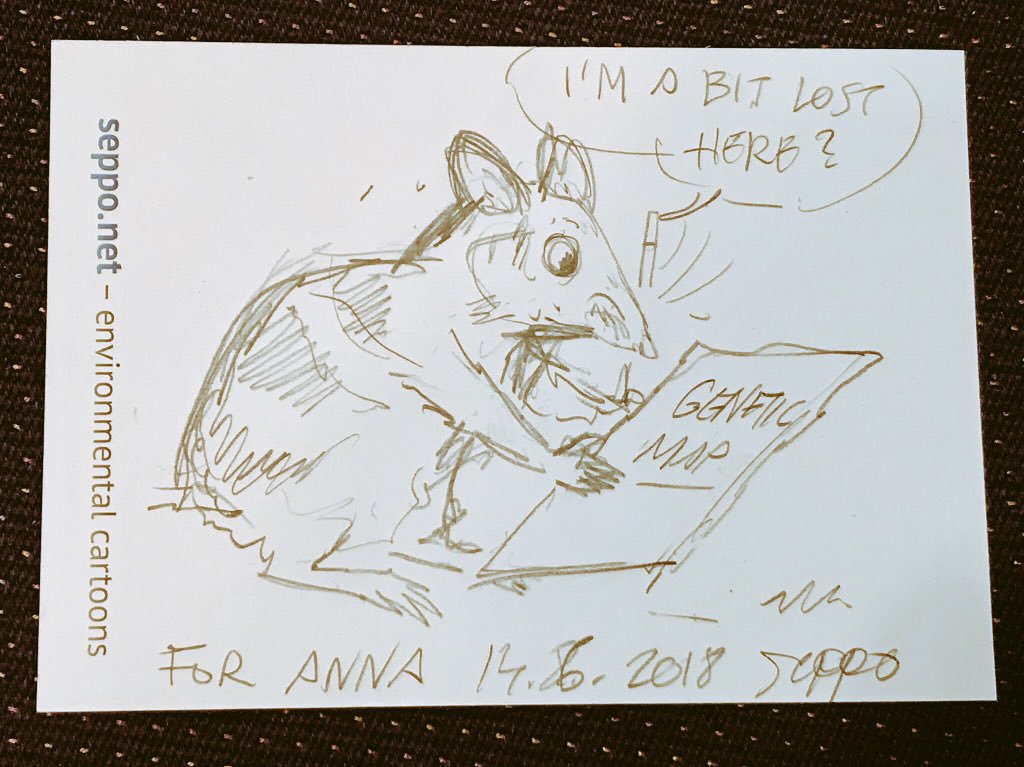 Have you heard, <a href="/BandicootRescue/">Bandicoot Genetic Rescue</a> are raising $ for an exciting genetic rescue mission to conserve threatened bandicoots with DNA from Tasmania? A couple of days left to hit their target, even $5 helps!
Please share #WildOz #Bandicute [cartoon by <a href="/sepponet/">Seppo mstdn.social/@sepponet</a>] alumni.online.unimelb.edu.au/s/1182/bp17/in…