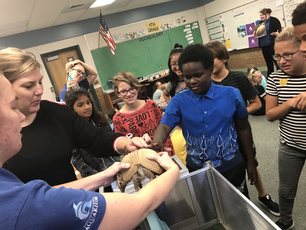 WestvaleWolves's tweet photo. Fun “in school” 6th grade field trip with The Living Planet Aquarium! #ecosystems #aSNAKE #handsonlearning @jordandistrict @WestvaleWolves @LivingPlanetUT https://t.co/XBRZXysIyx