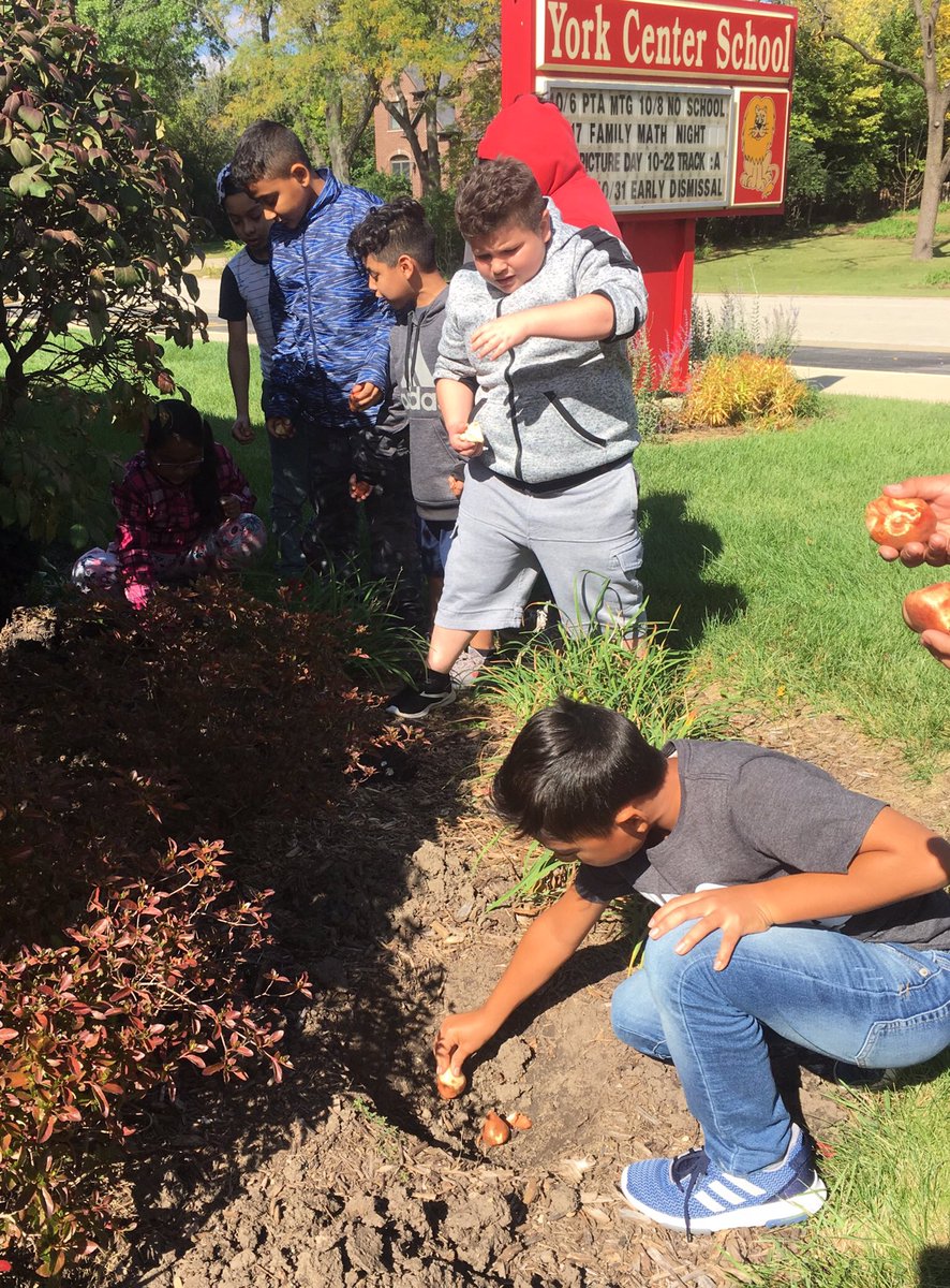 Rosanne Orsi tweet media