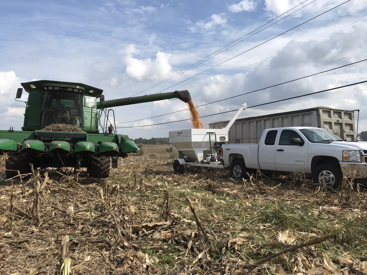 TheMattBaker86's tweet photo. Dekalb DKC67-44 cranking out the bushels today in my plot in Ekron, KY. Won the plot at 287.6 bu/ac! High management with Titan XC, Riser, Radiate, ESN and VT Trivapro! @DKAS_KY_SIN @DSMKirby @growloveland @smartnitrogen https://t.co/FbxLBF4FTM