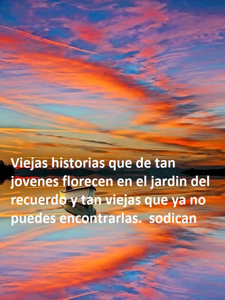 sodican films. Music tweet media