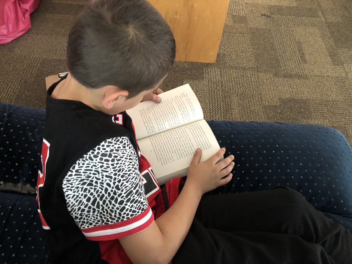 Carly Solberg tweet media