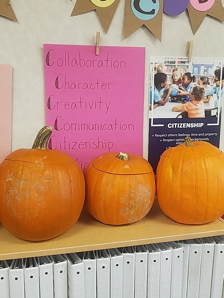 johnealp's tweet image. 2nd grade carved pumpkins, counted seeds into 100s &amp;amp; 10s, investigated the relationship between ribs and seeds, and integrated with library and reading to see if pumpkin seeds can grow in a pumpkin if you add dirt and water. Wow! #asdeveryone #npdl @sagethunderhawk