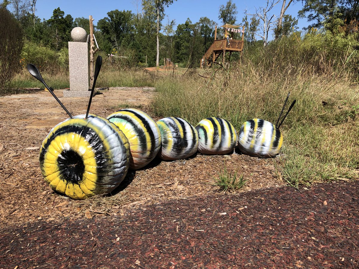 slines's tweet photo. At our #butterfly habitat. #WayStation9045 #MoonVine #EatontonGa @fluttrbyproject @jnp_mn @BrenHaas @MarkC_Avgi @growmilkweed @GrayFeist @TomatoOnTheVine @PollinatorPlant https://t.co/War0IN32Az