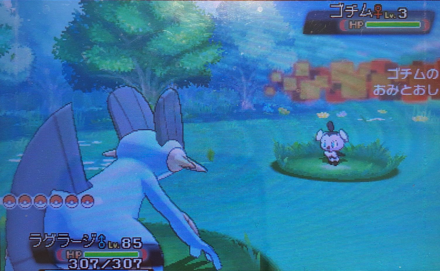 スラヨシ アンテ ポケダン空ネタバレしないでね Pa Twitter 102番道路のラストはゴチム プラチナコンプリート 32 ゴチムは一体何を見ている