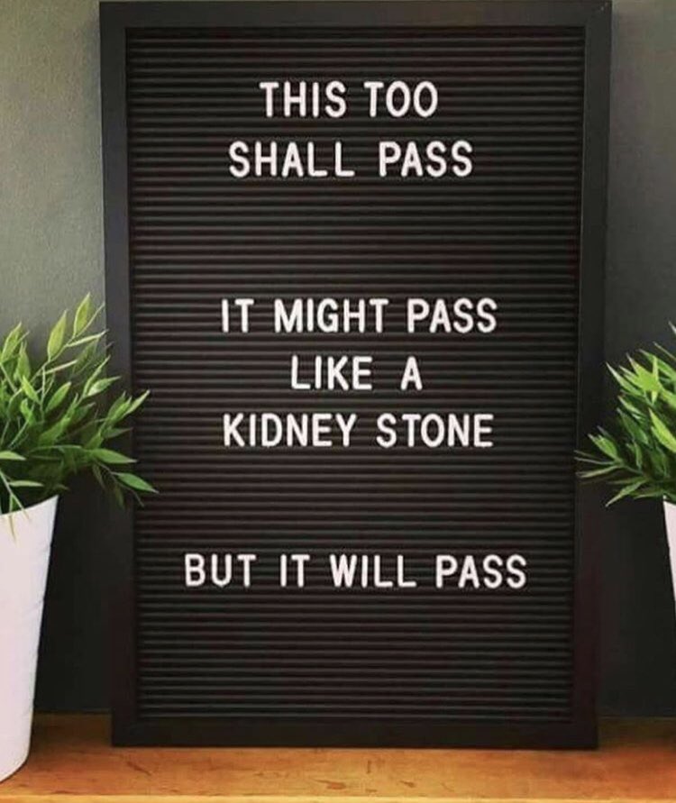Tipsfromtia's tweet photo. Whatever you’re going through, just know that there’s a time and a season for everything. Even though it may hurt now, it’s all apart of your process #journey #motivation #stayencouraged #tipofthenight https://t.co/9sFVBERCwP