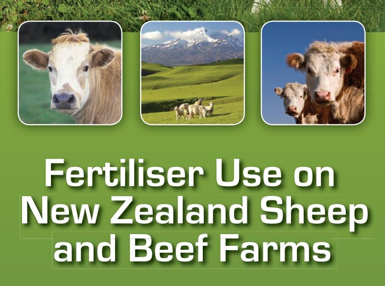 Beef + Lamb New Zealand tweet media