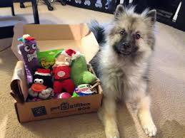 DogsZoom's tweet image. Best gift for you dog. Read the review clicking the link below
dogszoom.com/barkbox-review…