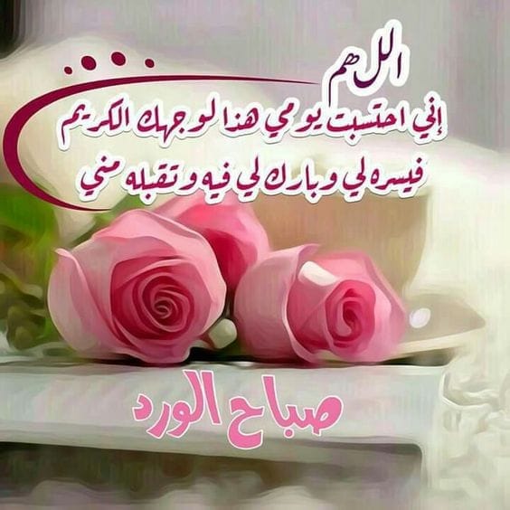 يارب (@hommkj) on Twitter photo 