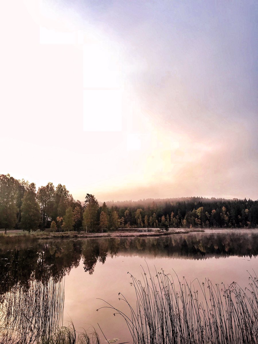Good morning from Sweden. #sweden #dalarna #sunrise #autumn #fall #NaturePhotography