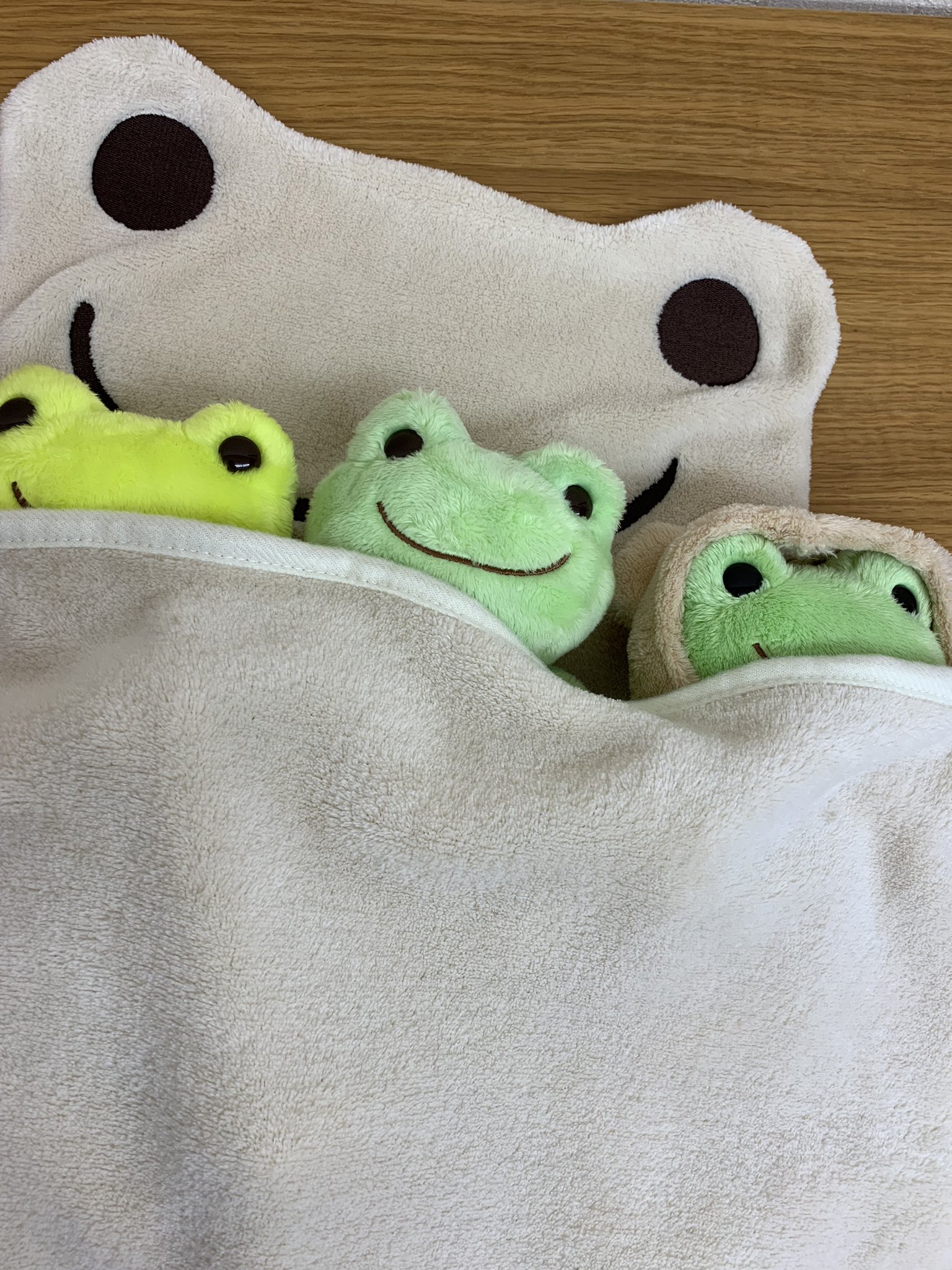 株式会社 飛馬日本 ひゅうまの事務所で暮らしている仲良しピクルスくん達 今日は寒くて ブランケットに包まってます これからの季節 ピクルスブランケットが大活躍です かえるのピクルス Amazonプライム T Co Ff6ypd3ft8 Twitter