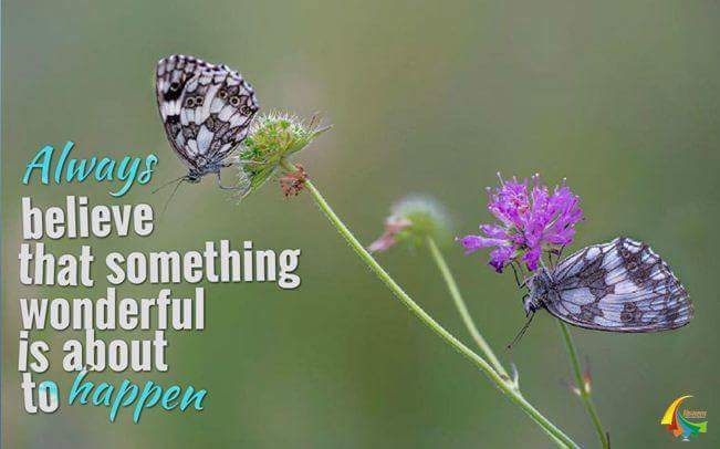 KislayOrg's tweet photo. Always believe that something wonderful is about to happen...
#FridayFeeIing https://t.co/lAa37KFFh1