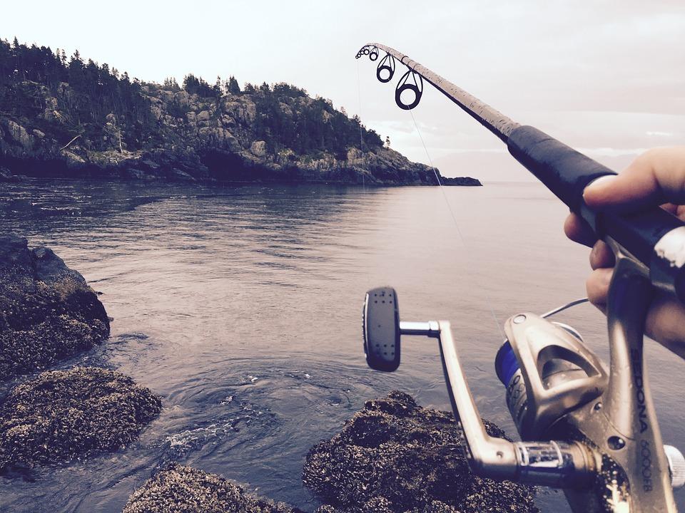 fishinglt's tweet photo. Q: What do fish use for money? A: Sand dollars! #fishing #angling #joke @SuperPeePeeTime https://t.co/UdrJXrvq0u https://t.co/01lb9wBwla