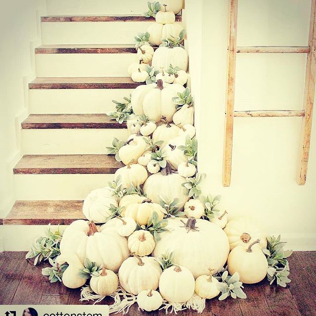 ・・・
Isn't this lovely? I saw it and had to repost!! #autumn🍁
#Repost @cottonstem (@get_repost)
#CottonStemHeartsimplicity
 @c.b._designs!! #whitepumpkins #staircase #falldecor #fallvibes #neutraldecor #lambsear #pumpkineverything #pumpkins #pumpkinse… ift.tt/2BWUqck