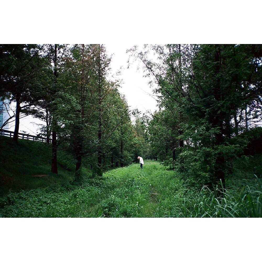 : Fuji Pro 400HRed tint with green saturation and it comes out natural for landscape and portrait photography. It looks natural too with skin color. #NCT카메라  #NCTOGRAPHY