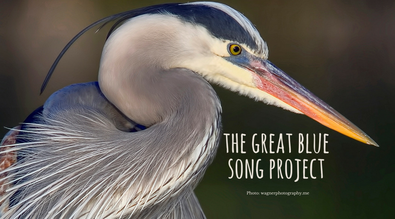 The Great Blue Song Project tweet media