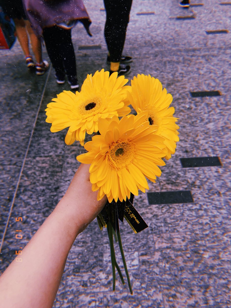delicate_evie's tweet photo. @twentyonepilots These are amazing, thank you so much, we love you from on the other side of the world 🌼

#TwentyOnePilots #trench https://t.co/SWnjNxEIZH