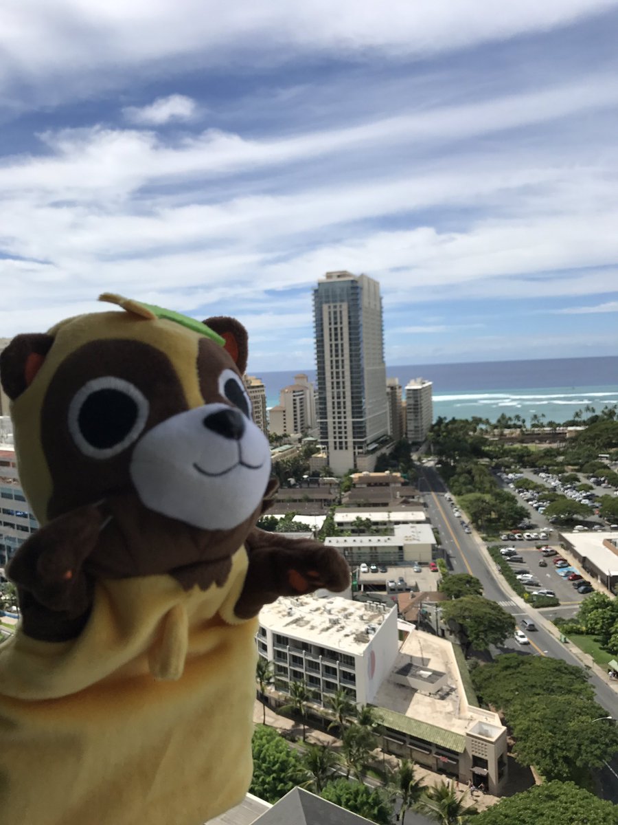 うらたぬき 浦島坂田船 浦田わたる やまだぬきも泳ぎたそうにしてる ハワイ やまだぬき 猫飼いたい うらたぬき インスタ映え 良い景色 海綺麗だなぁ T Co Mxt37rciao Twitter うらたぬき 浦島坂田船 浦田わたる やまだぬきも泳ぎたそうにしてる ハワイ やまだぬき 猫飼いたい うらたぬき インスタ映え 良い景色 海綺麗だなぁ T Co Mxt37rciao Twitter
