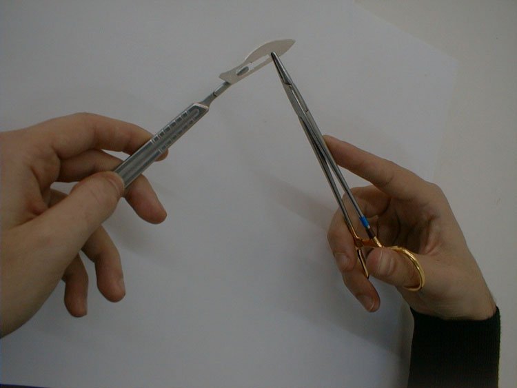 #ELCA #LWF Thesis 63. Jesus never prohibited what we call "divorce.” What he said was that one should not simply “dismiss” or “send away” one’s spouse, cutting off what has become one's own flesh without first making every effort to get that flesh healed. 94t.mx