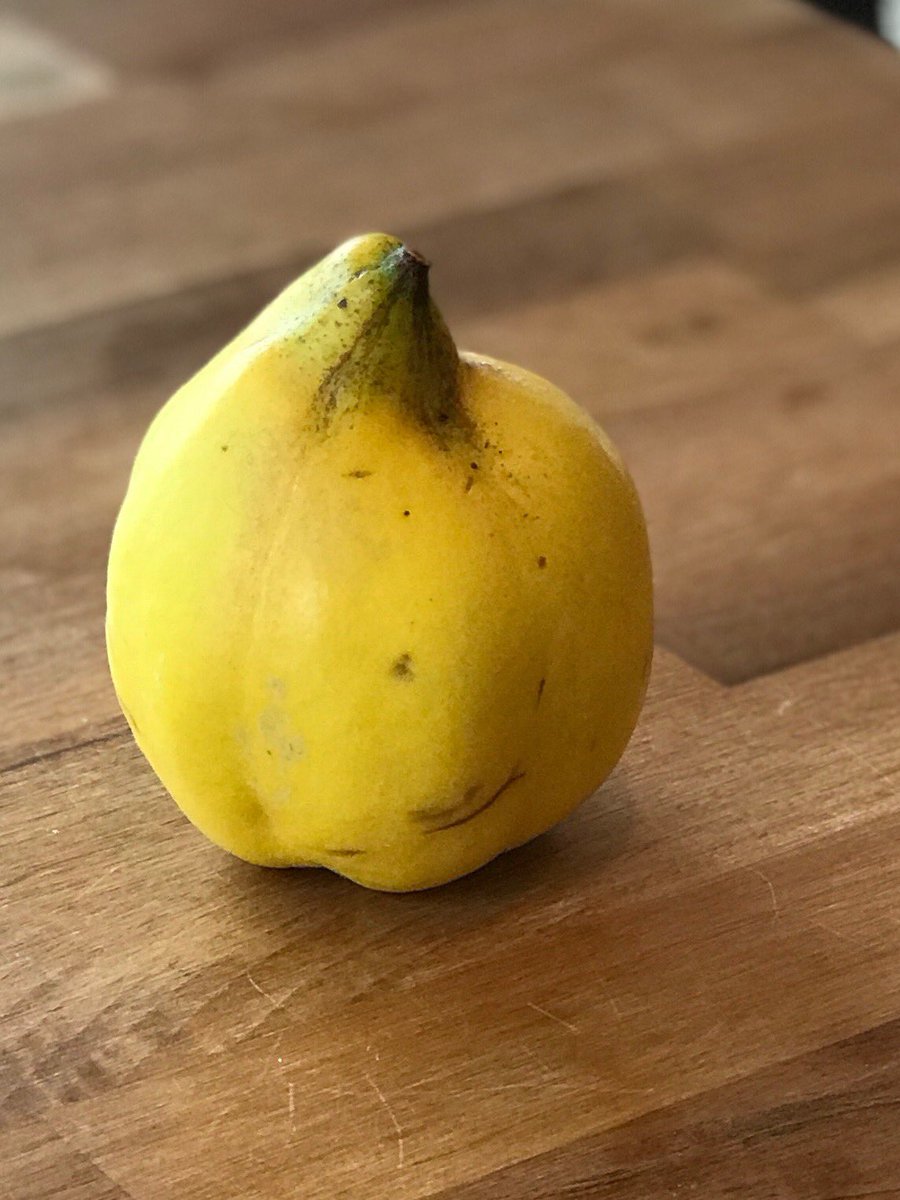 First quince from Henley’s #communityorchard ........ any suggestions.....? 🤗 🍐🍎🍒🍇