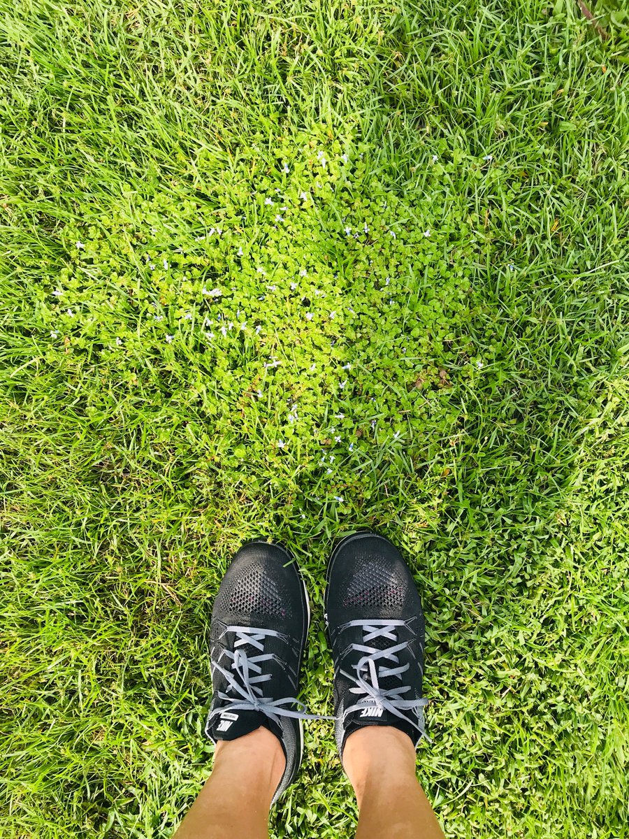 anitpang's tweet image. Shoe mishap! And I manage to squeeze my big foot into her shoes #wrongsize hope I don wreck her ⁦⁦@Nike⁩ Trainers 👟 #bintan