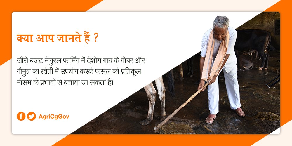 क्या आप जानते हैं ?