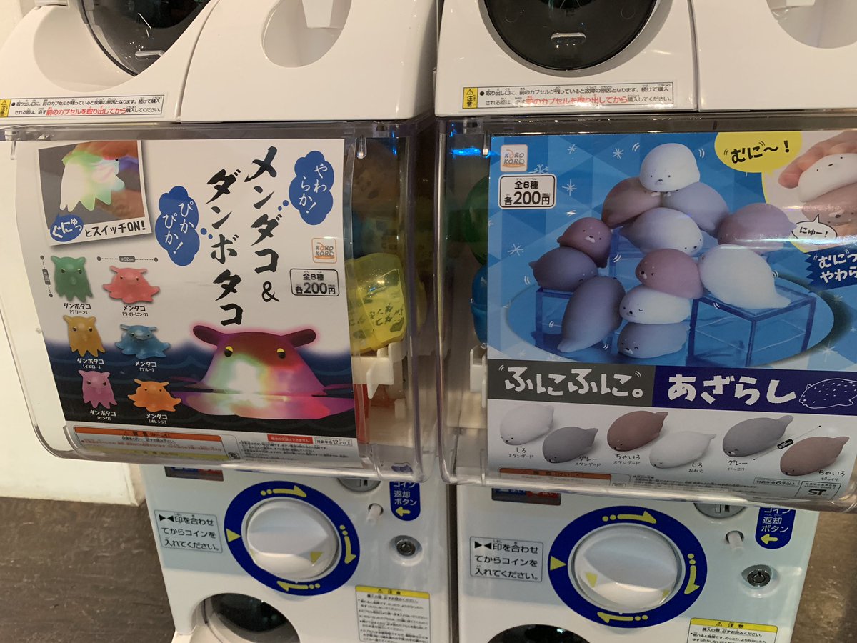 深海生物検定 公式 U Tvitteri ガチャガチャも面白いもの揃えましたよ ふふっ 深海生物検定 深海生物 検定 イベント 深海 Deepsea 沼津 水族館 メンダコ ダイオウグソクムシ かわいい 可愛い Kawaii キモカワイイ 資格 検定 T Co 4kwootvv7q 深海生物検定 公式 U Tvitteri ガチャガチャも面白いもの揃えましたよ ふふっ 深海生物検定 深海生物 検定 イベント 深海 Deepsea 沼津 水族館 メンダコ ダイオウグソクムシ かわいい 可愛い Kawaii キモカワイイ 資格 検定 T Co 4kwootvv7q
