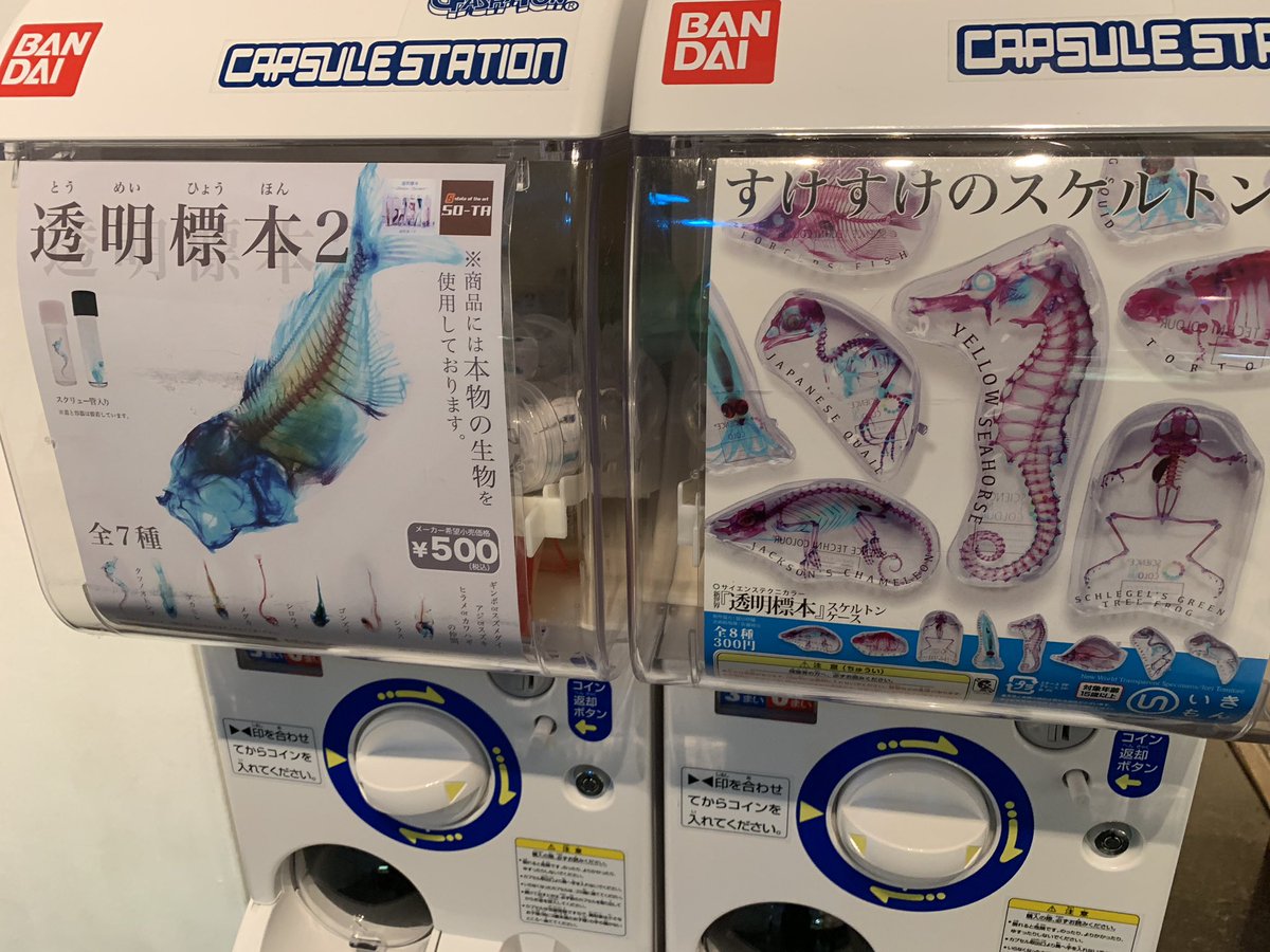 深海生物検定 公式 ガチャガチャも面白いもの揃えましたよ ふふっ 深海生物検定 深海生物 検定 イベント 深海 Deepsea 沼津 水族館 メンダコ ダイオウグソクムシ かわいい 可愛い Kawaii キモカワイイ 資格 検定 T Co 4kwootvv7q 深海生物検定 公式 ガチャガチャも面白いもの揃えましたよ ふふっ 深海生物検定 深海生物 検定 イベント 深海 Deepsea 沼津 水族館 メンダコ ダイオウグソクムシ かわいい 可愛い Kawaii キモカワイイ 資格 検定 T Co 4kwootvv7q