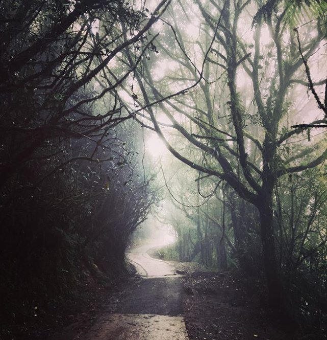 chongkien0's tweet photo. Its Fridayyyy.... lets get disappear here!
Location: Mossy Forest
#thetravelwomen #desert #girlaroundworld #girlsabroad #wetravelgirls #femmetravel #thewanderingtourist #darlingescapes #girlsthatwander #traveltagged #mydestinationguide #seetheworld #travellingtheworld https://t.co/RkTFlfR7qQ
