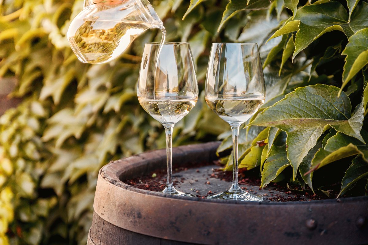 Les Épicuriens du vin vous parlent de la nouvelle tendance : le vin vegan. Pour en savoir plus, c'est par ici : bit.ly/2RpKttr 

#wine #winetasting #vegan #veganism #trend #veganwine