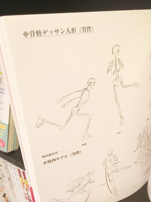 文房堂 11 2 3 5 6 くるくる版画博覧会 画材屋 10 00 18 30 営業中 入荷情報 グラフィック社 Gsha Design さんの スーパースポーツデッサン 増補改訂版 は骨格 筋肉 キャラ デッサン と3種で動きを解説してくれる至れり尽くせりの ポーズ
