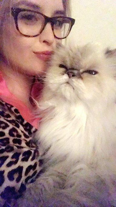 Chillin with my main bitch 😻 https://t.co/mo3AIrlRr4<a href="/tag/grumpycat"class="tags"><span>#grumpycat</span></a>