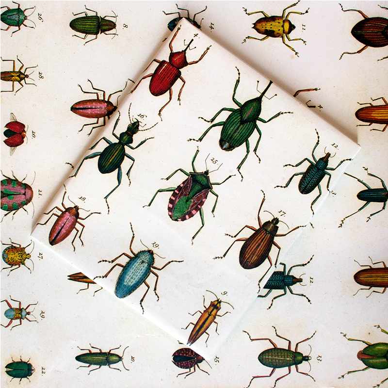 printnpack1's tweet image. Bulk Color Printed Wrapping Paper - Printn-pack printn-pack.com/color-printed-… Color Printed Wrapping Paper,Wrapping Paper,Wrapper Packaging Paper export#CustomPrintingPackaging