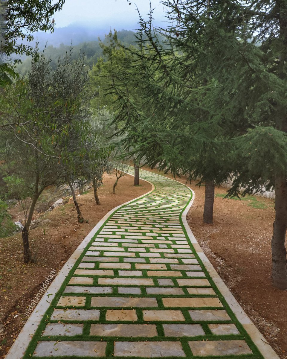 NidalMajdalani's tweet photo. "It is your journey and yours alone; whether crossing a paved path or choosing an untouched one.. More on
https://t.co/inI4bj5arH
#lebanon #raachine #photography #photojournalism #writer
#الزبالة_بالكيس_مش_عالطريق
#مش_كل_ما_كزدرنا_وسّخنا_ورانا
#السياحة_واجهة_لبنان #لبنان #سياحة https://t.co/yP8EJsjKVo
