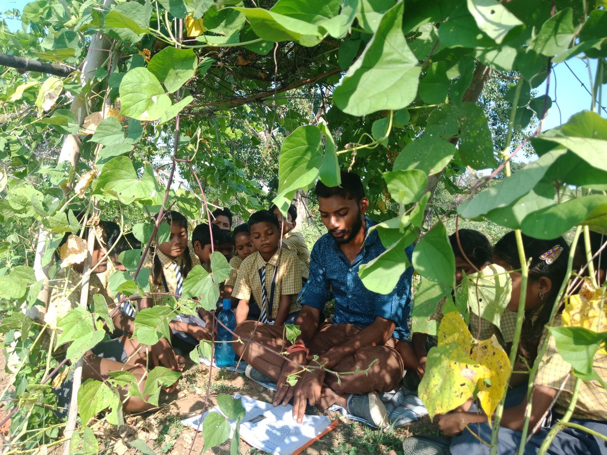 SchoolEduCgGov's tweet photo. कक्षा 5 वीं के बच्चों को पर्यावरण विषय के तहत छत्त��सगढ़ के जंगल के बारे में जानकारी दी गई। इस दौरान छात्रों को शाला के बगीचे में सेमी की घनी छांव में वातावरण के साथ अध्यापन कराया गया। https://t.co/K1oRLxSg8X