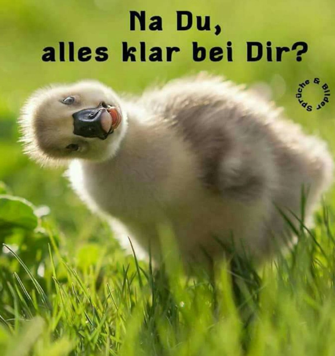 Bei alles dir ok alles OK