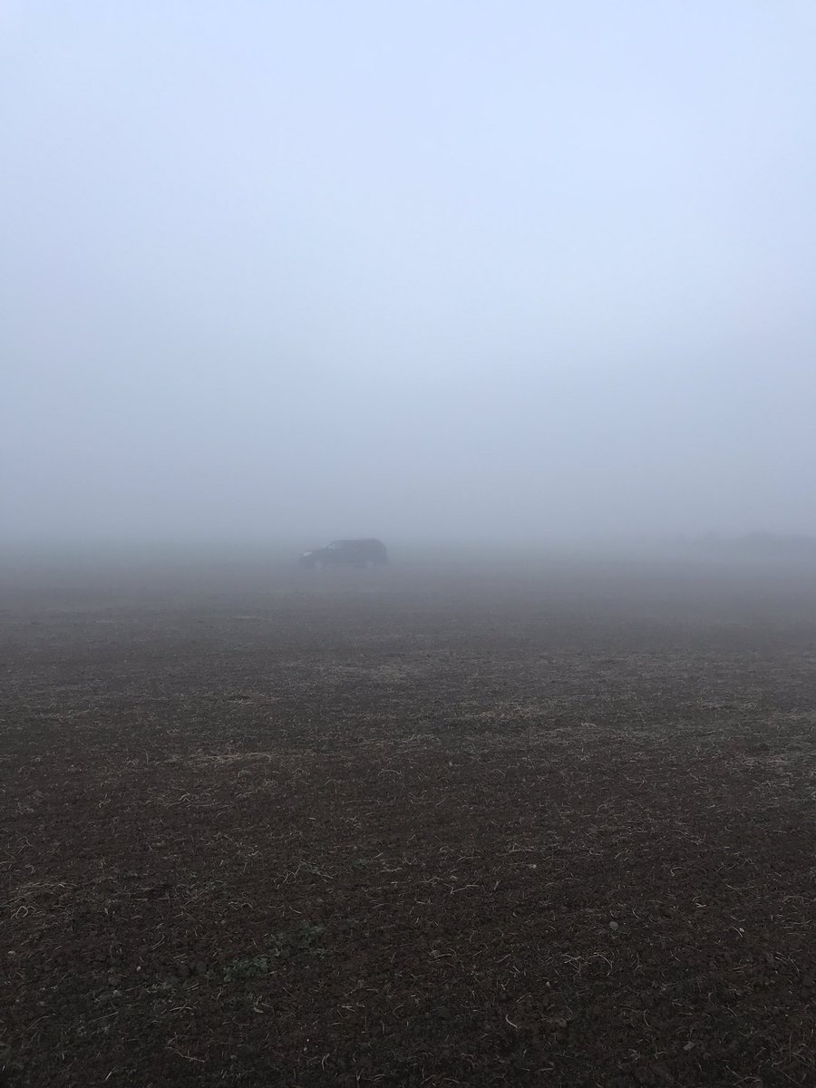 FarmFrinton's tweet image. Misty morning slug hunting on the Essex coast
