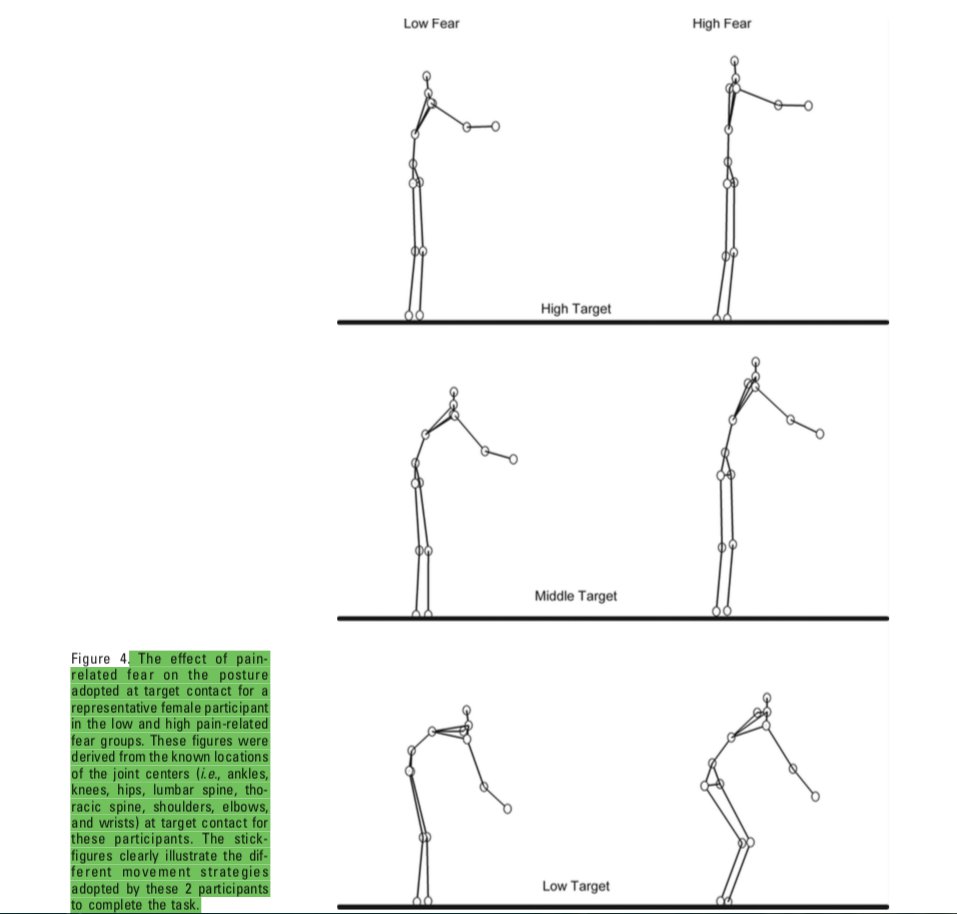 KWernliPhysio's tweet photo. People with LBP and high pain-related fear avoid spinal flexion. 

They're often scared due to their interpretation of what they're told...
#checkunderstanding #KOStest #watchyourwords @jpcaneiro @kieranosull @JayS_Tan @PeteOSullivanPT @TrustmePhysio @MaryOKeeffe007 @Retlouping https://t.co/m51lxBOkJw