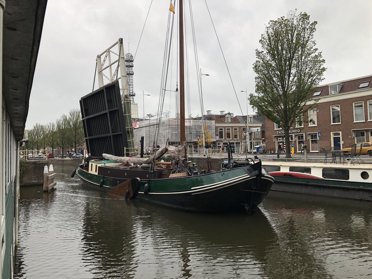 Welkom thuis, onze overburen zijn weer thuis!