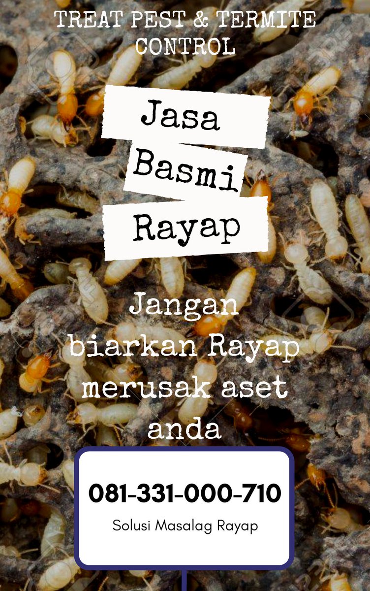 treatpestcontr1's tweet photo. Jasa anti Rayap Surabaya WhatsApp/call 081331000710 #antirayapsurabaya #antirayapsidoarjo #basmirayap #jasabasmirayapsurabaya #pestcontrol #termitecontrol #treatpest #rayapsurabaya #biayabasmirayap #biayaantirayapsurabaya #solusimasalahrayap #jasatermitecontrol #ahlibasmirayap https://t.co/JPSLFYDBii
