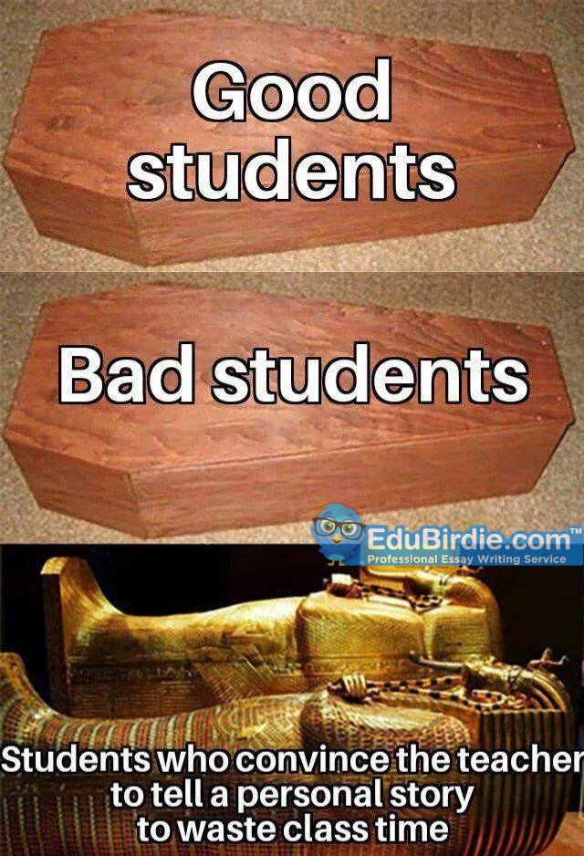 Persuasive Essay Thesis Funny Student Truestory College School University Lolpictwittercomvyskxkvu Synthesis Example Essay also My Country Sri Lanka Essay English Edubirdie Edubirdie Twitter How To Write A Thesis Statement For An Essay