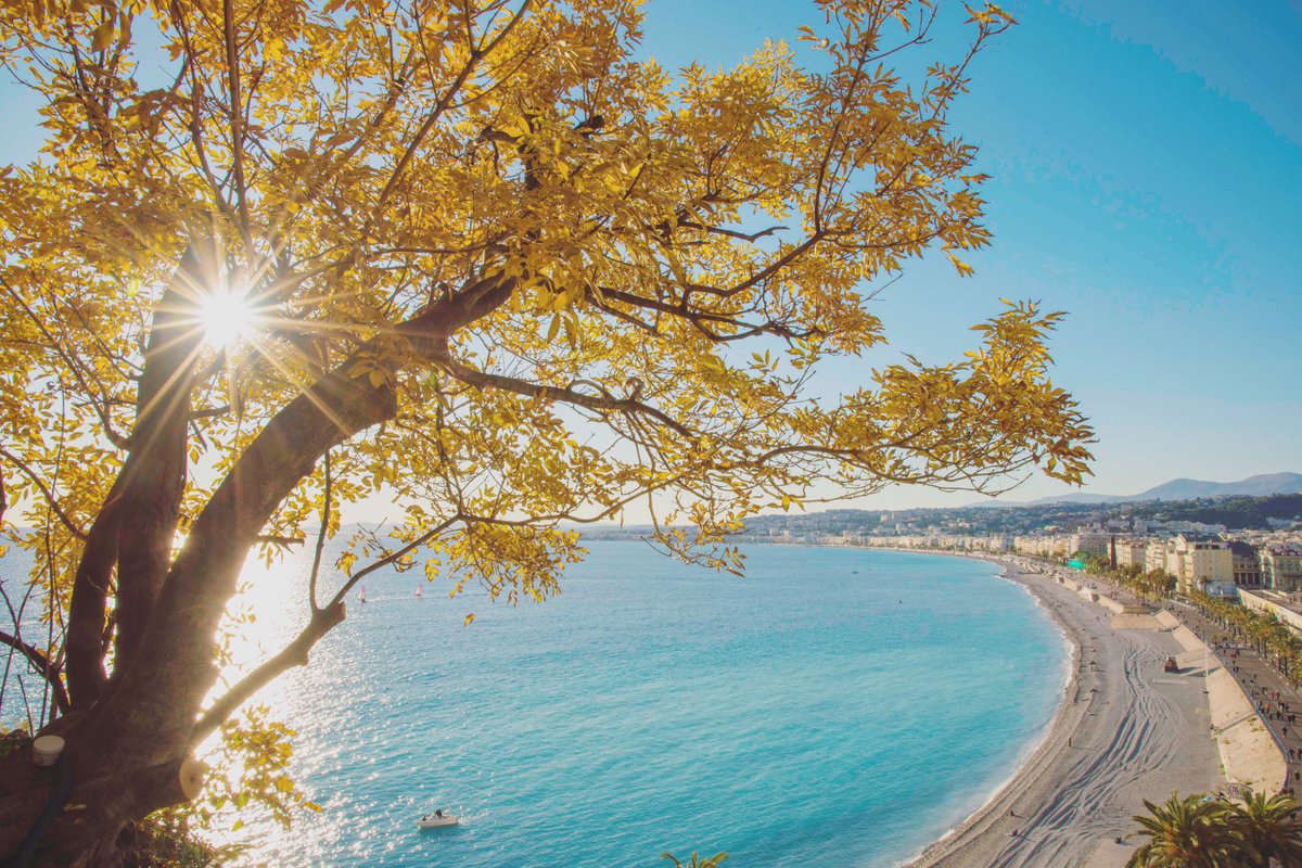 Quand tu as loupé le #jeudiphoto tu peux aussi faire le #vendrediphoto <a href="/VilledeNice/">Ville de Nice</a> <a href="/VisitCotedazur/">Côte d'Azur France</a> @Nice_Tourisme